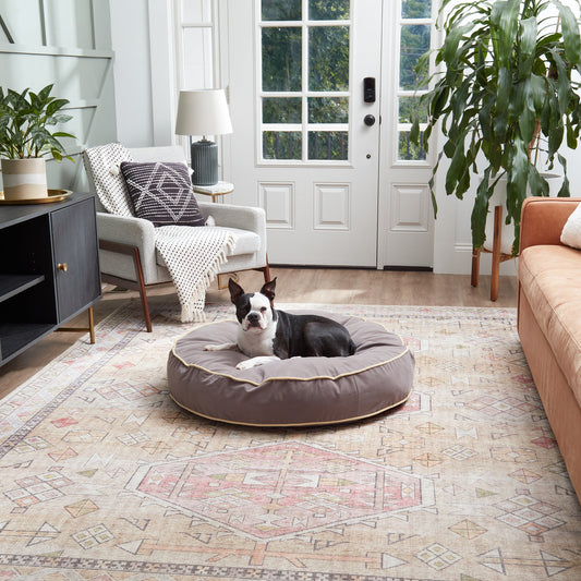 Scout Deluxe Round Microfiber Pillow Dog Bed