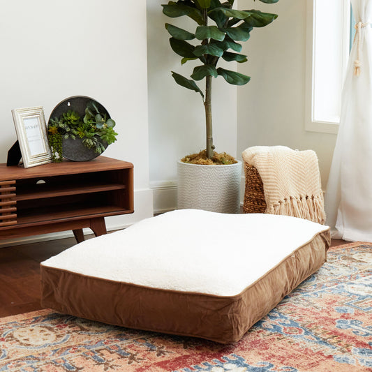 Buster Rectangle Sherpa Top Pillow Dog Bed