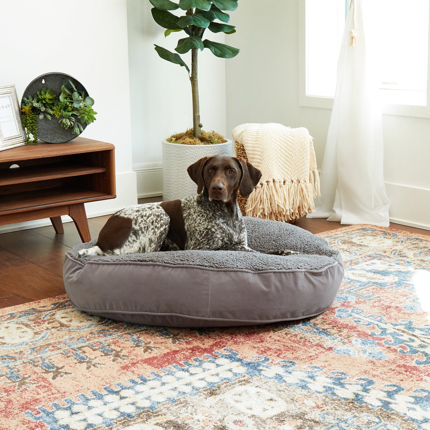 Scout Deluxe Round Sherpa Top Pillow Dog Bed
