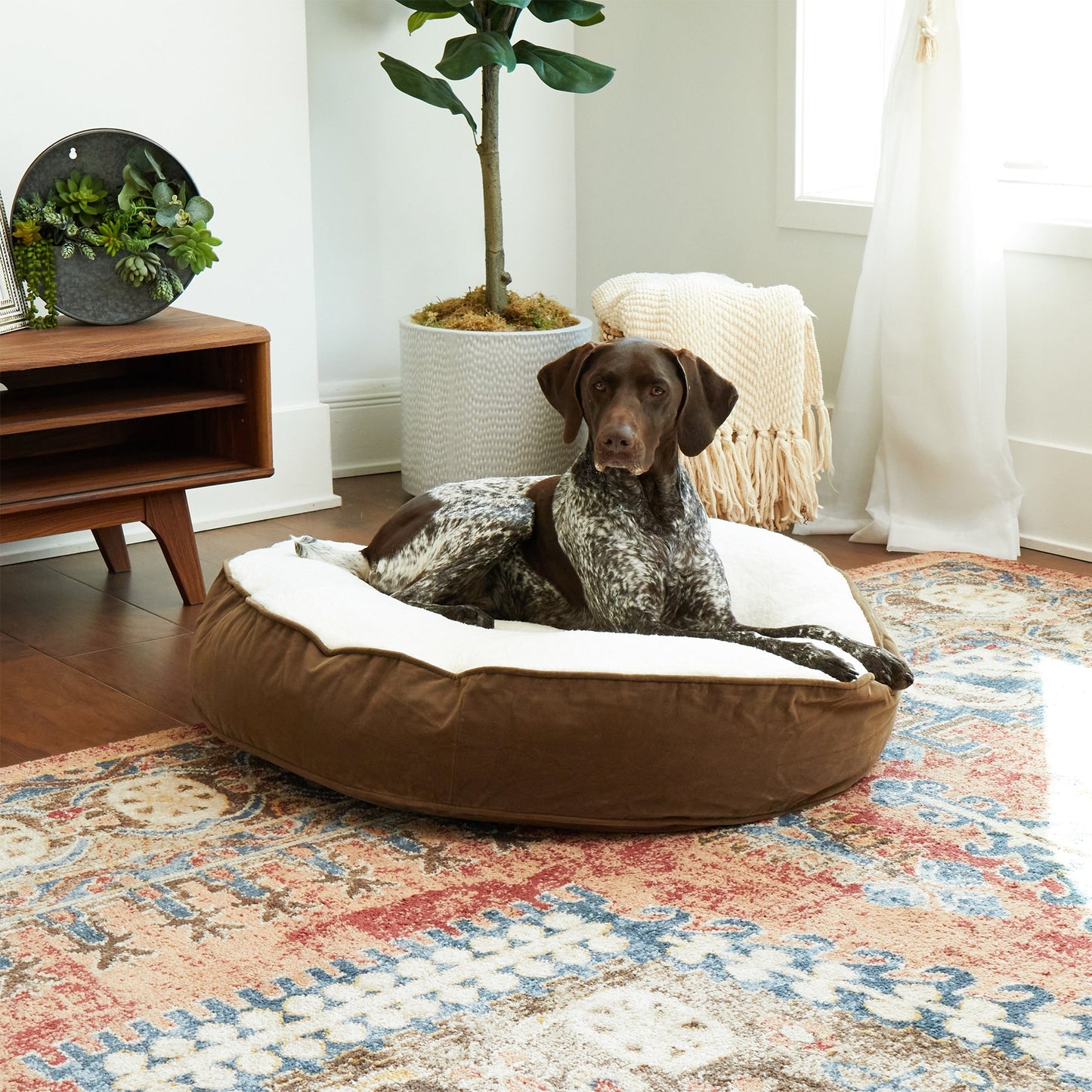 Scout Deluxe Round Sherpa Top Pillow Dog Bed