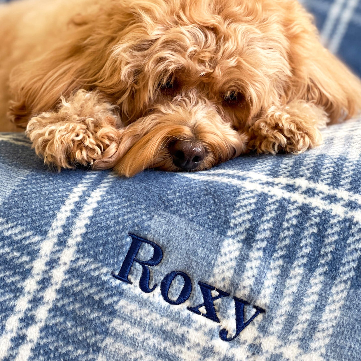 Harborview Herringbone Cornflower Dog Blanket