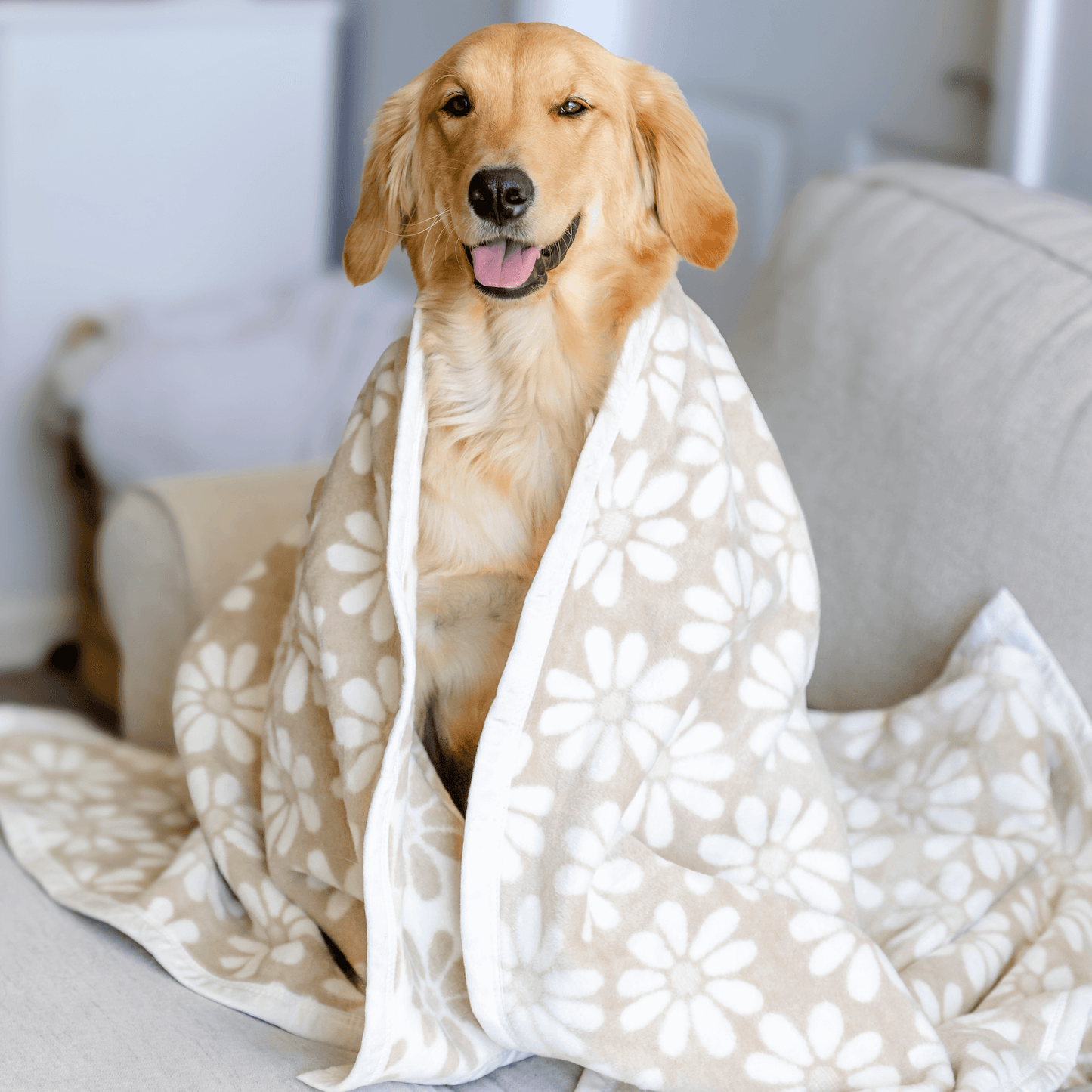 Fresh as a Daisy Wheat Dog Blanket