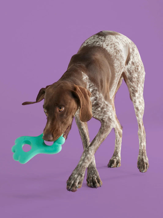 Tug Of War Bundle